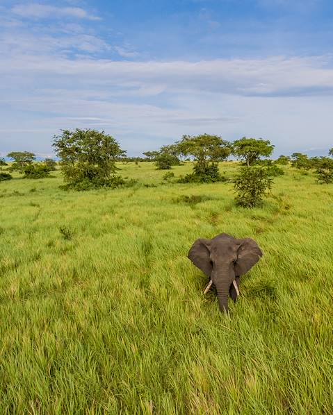 One Country Bwindi Impenetrable Forest,Queen Elizabeth National Park