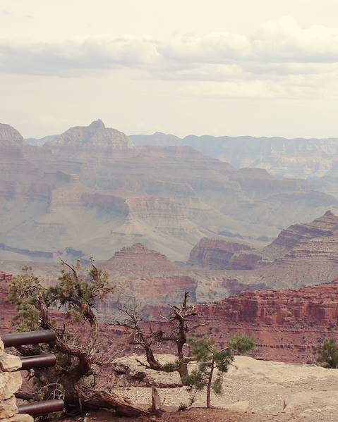 One Country USA – The American West – Las Vegas – Zion National Park – Bryce Canyon National Park – Moab – Monument Valley – Grand Canyon