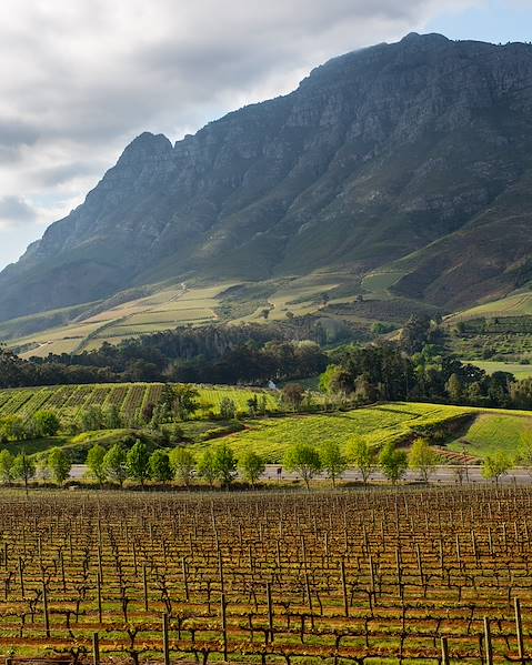 One Country The Winelands and Cape,Cape Town