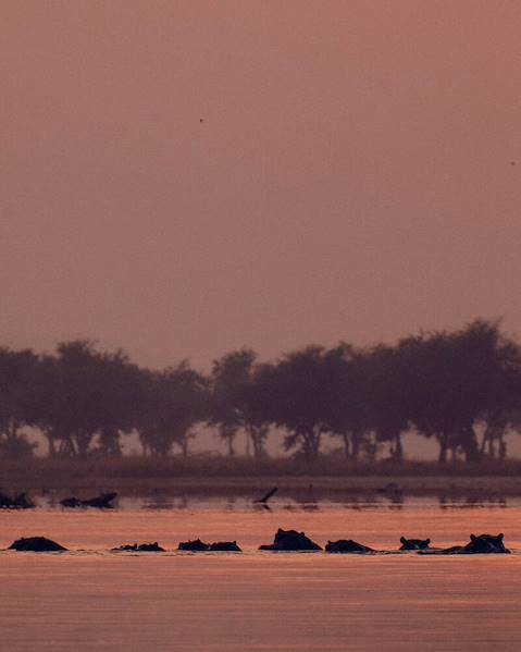 One Country Zambia – Livingstone – Lower Zambezi – South Luangwa